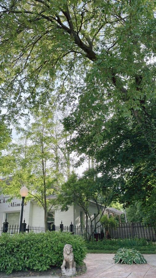 The Ginkgo Tree Bed and Breakfast Mount Pleasant Εξωτερικό φωτογραφία