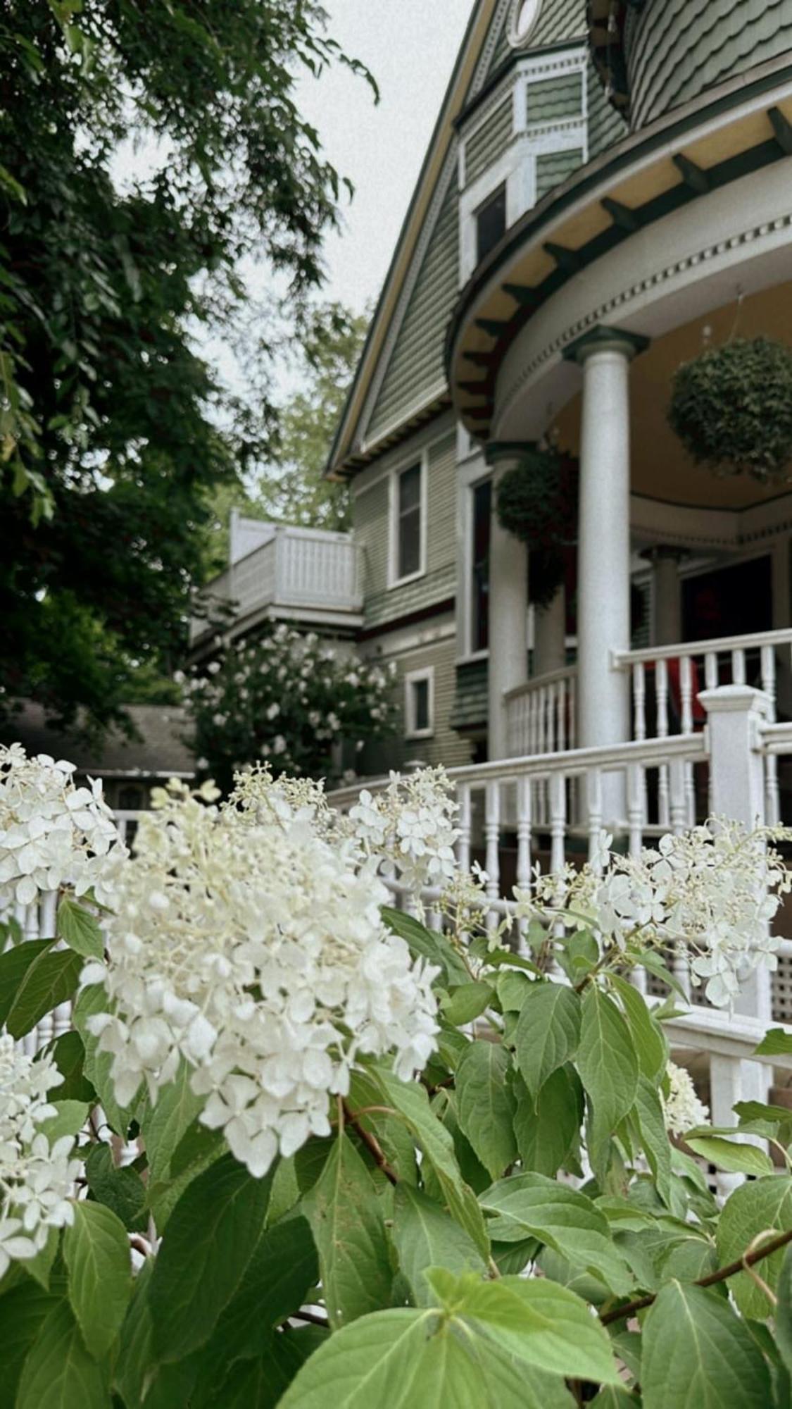 The Ginkgo Tree Bed and Breakfast Mount Pleasant Εξωτερικό φωτογραφία
